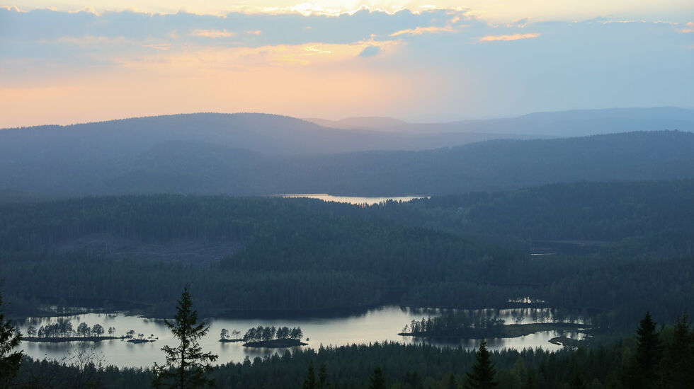 Sommerkveld på Sellanrå i Maridalsalpene