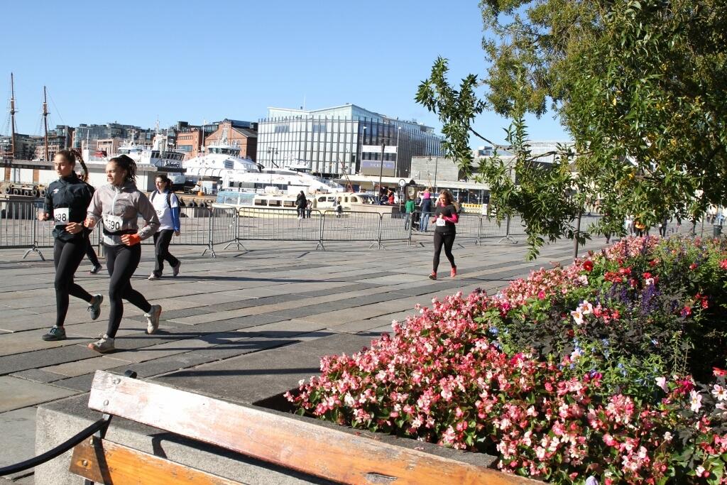 Sensommer_og_løpsfest (1024x683)