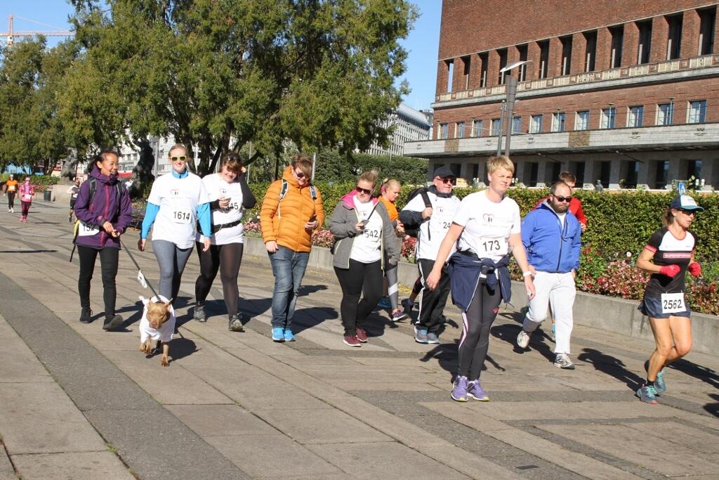 Økende_trafikk (1024x683)
