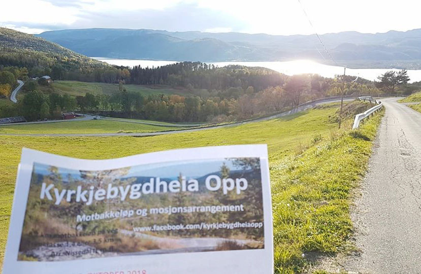Vegen slynger seg vakkert gjennom kulturlandskapet i Kyrkjebygdheia Opp. (Foto: Helge Reinholt)