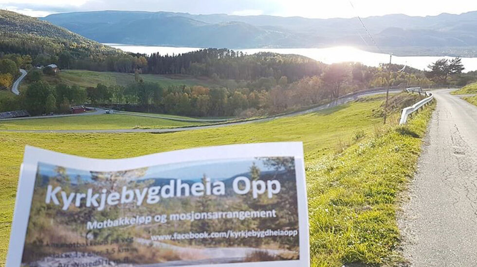 Vegen slynger seg vakkert gjennom kulturlandskapet i Kyrkjebygdheia Opp. (Foto: Helge Reinholt) 