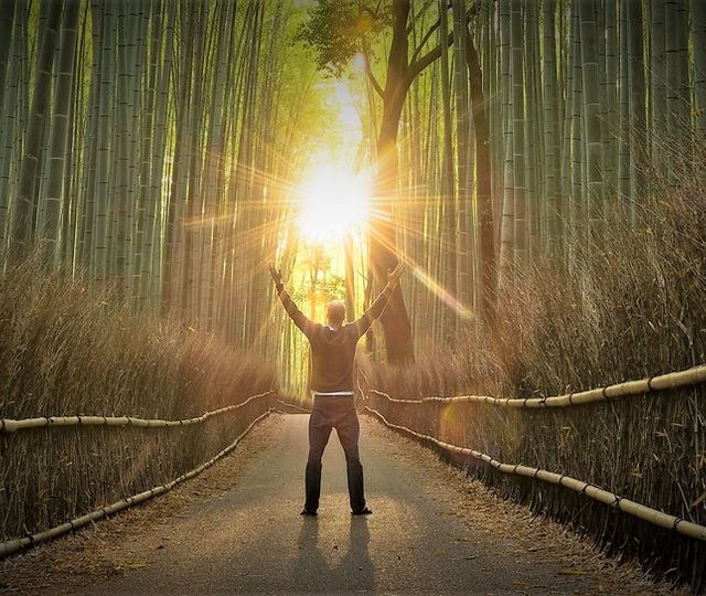 Den vanskelige selvinnsikten