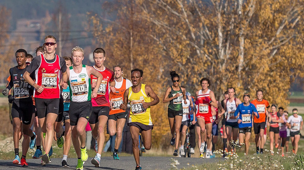 Etter 6 km: Vi ser et stort felt med mange som løp fort; både ungdommer, veteraner og kvinner. I tet ser vi tre ungdommer; Fredrik Sandvik (1433), Simon Steinshamn (2225) som ble nr. 2 i junior-NM i terrengløp forrige helg og vinneren av klasse 16-17 år, Martin Kirkeberg Mørk (910), som løp på gode 31.19.  Lengre bak ser vi både Meraf Bahta og Karoline Bjerkeli Grøvdal som løp seg inn på 3. og 4. plass på Europa-statistikken på 10 km og et sted mellom dem ser vi Øystein Mørk (1991), 44-åringen fra Lier som løp fortest av 818 mannlige veteraner. (Foto: Ole Arne Schlytter)