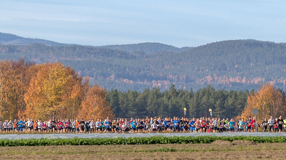 Hytteplanmila vokser år for år og det er nå tett i tett med løpere gjennom hele løypa.  Foto: Ole Arne Schlytter