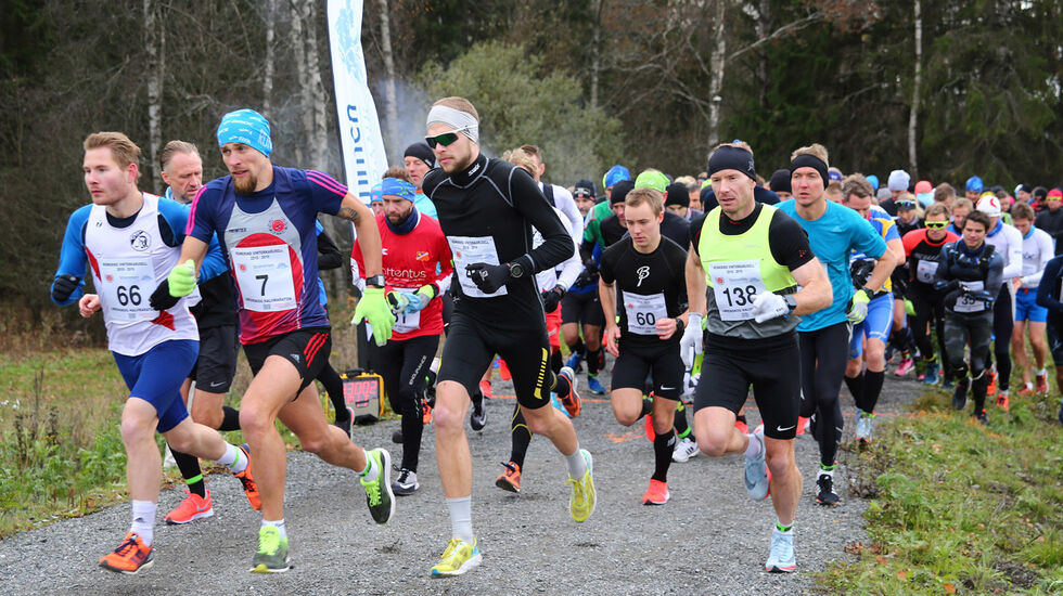 Starten på halvmaraton. Foto: Bjørn Hytjanstorp