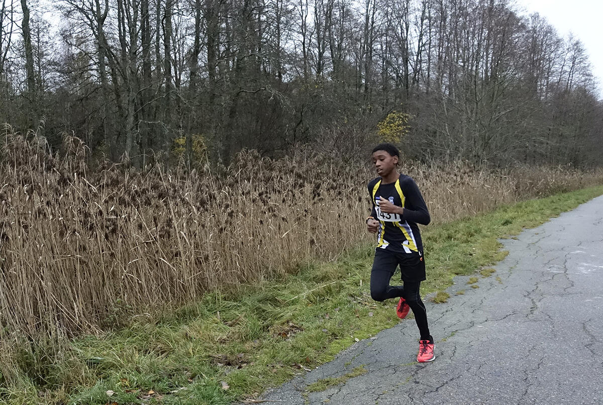 DSC5035-5km-lion-frenay