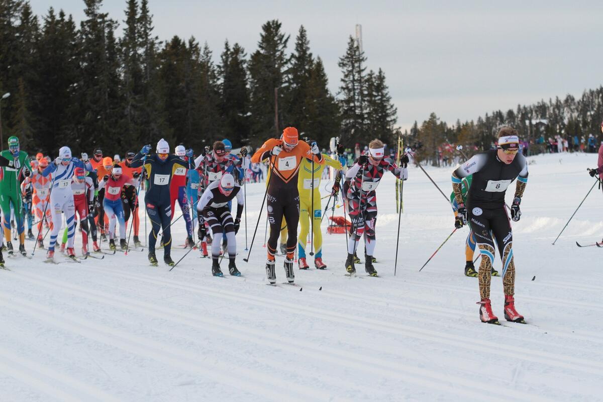 Start_pulje1