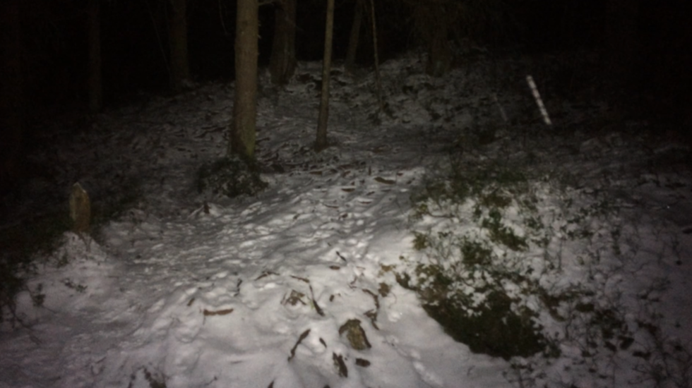 Ta skogen tilbake! Med en god hodelykt åpnes det mange muligheter!