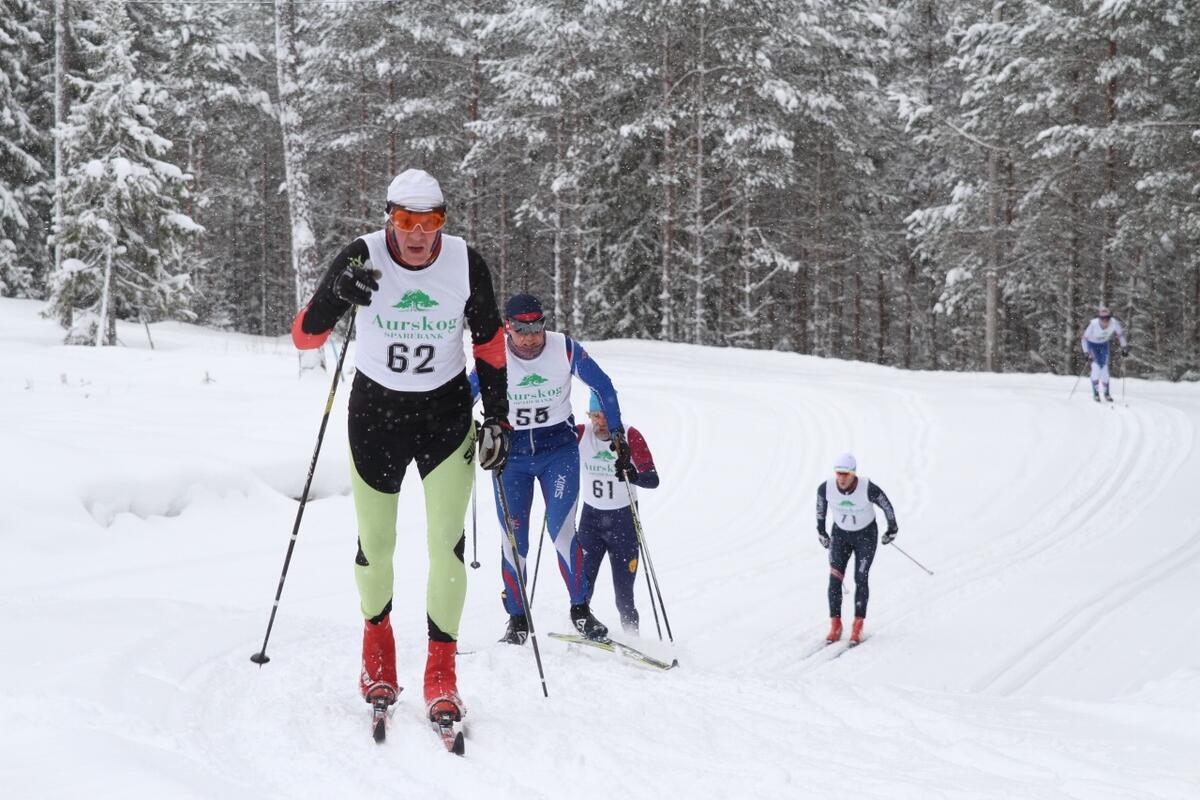 IMG_7321_Geir_Bjørnstad (1280x853)