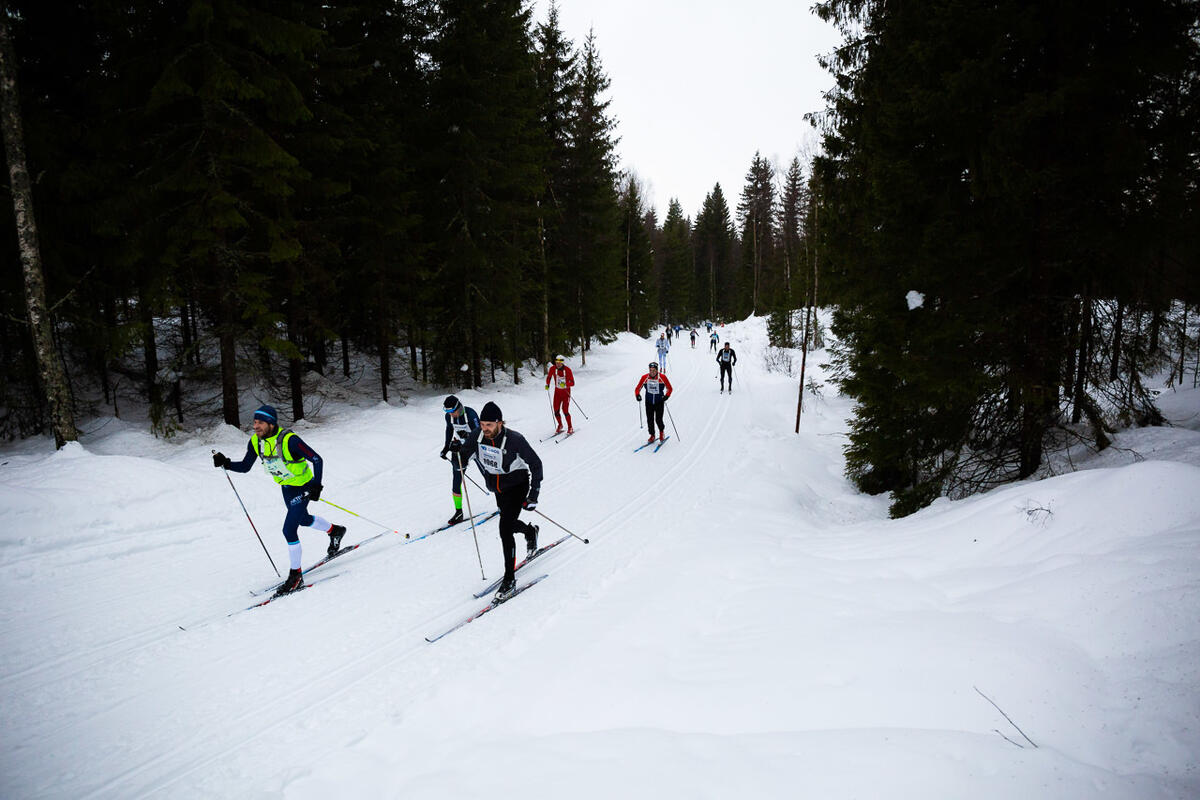 foto_Snorre_Veggan_holmenkollmarsjen-0498