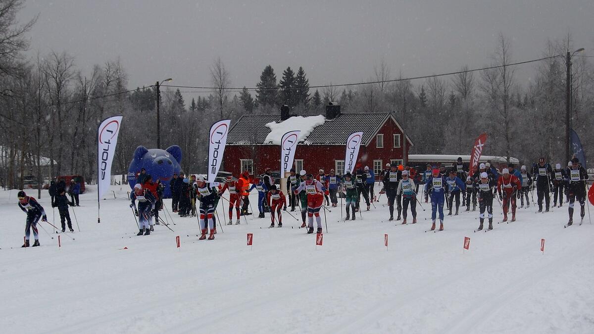 Start_halvmaraton