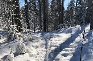 Det har vært uvanlig mye snø så langt sør i Østmarka denne våren, så mulighetene for snøløyper er store i Backyardløpet Last Man Standing. Mye sol og varme de siste dagene kan endre mye på dette. (Foto: Leif Abrahamsen)