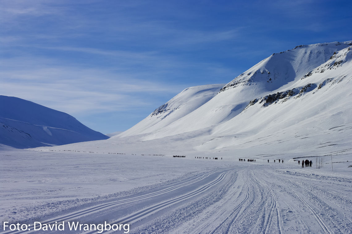Fra fjorårets Svalbard Skimaraton. (Foto: David Wrangborg)