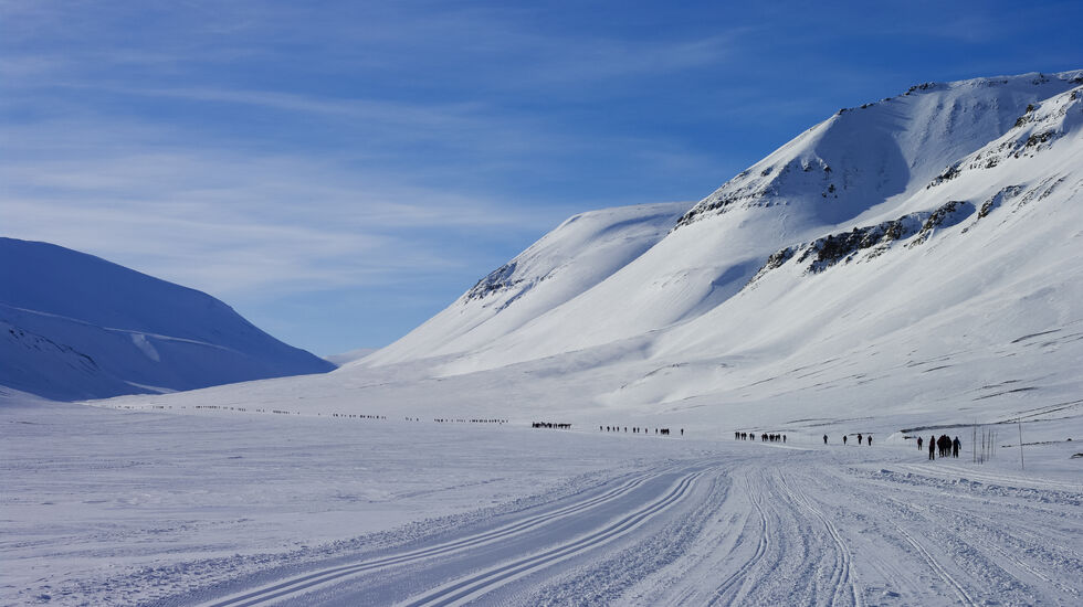 Fra fjorårets Svalbard Skimaraton. (Foto: David Wrangborg)