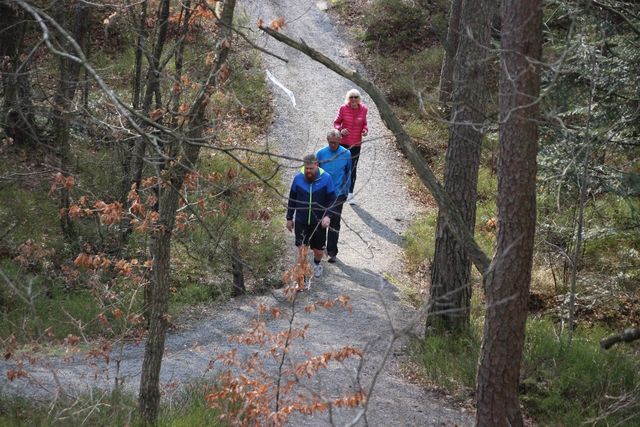 Arkivbilde fra 3. løp 2019 i annen løype. (Foto: Guri Sæterlid)