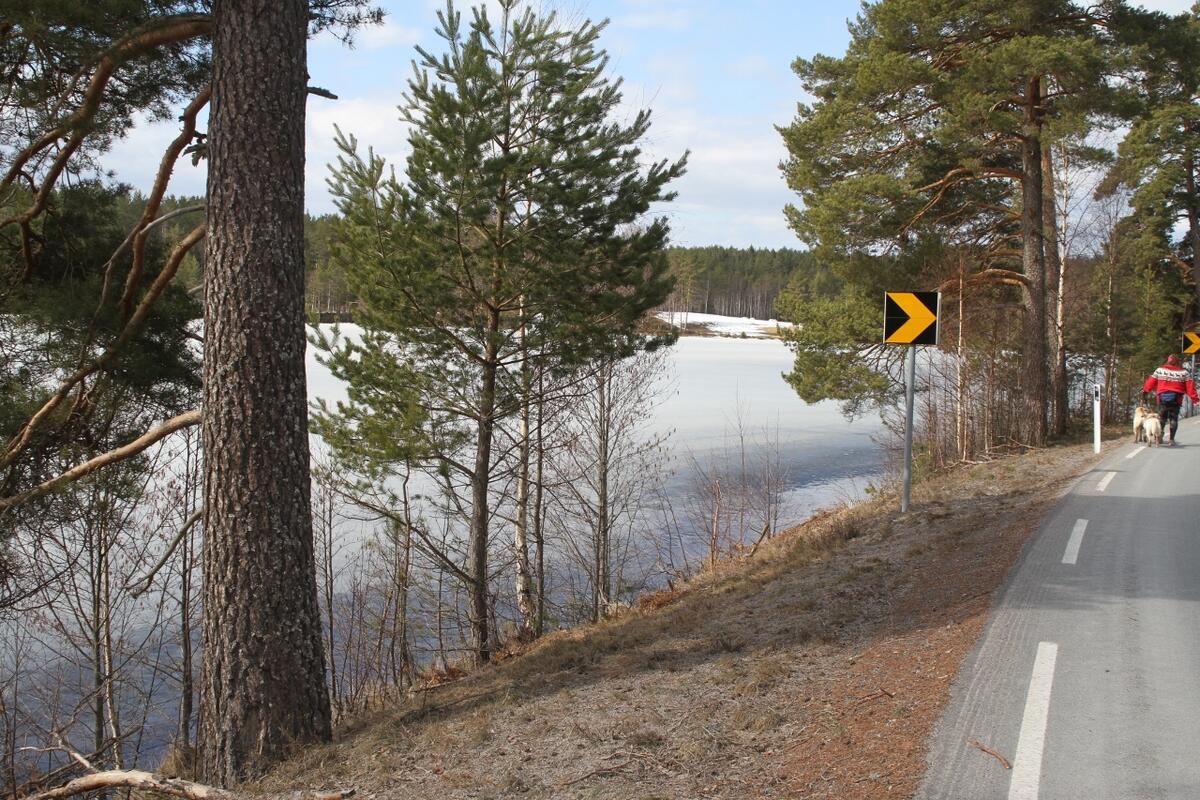 IMG_8010_Baksjøen (1280x853)