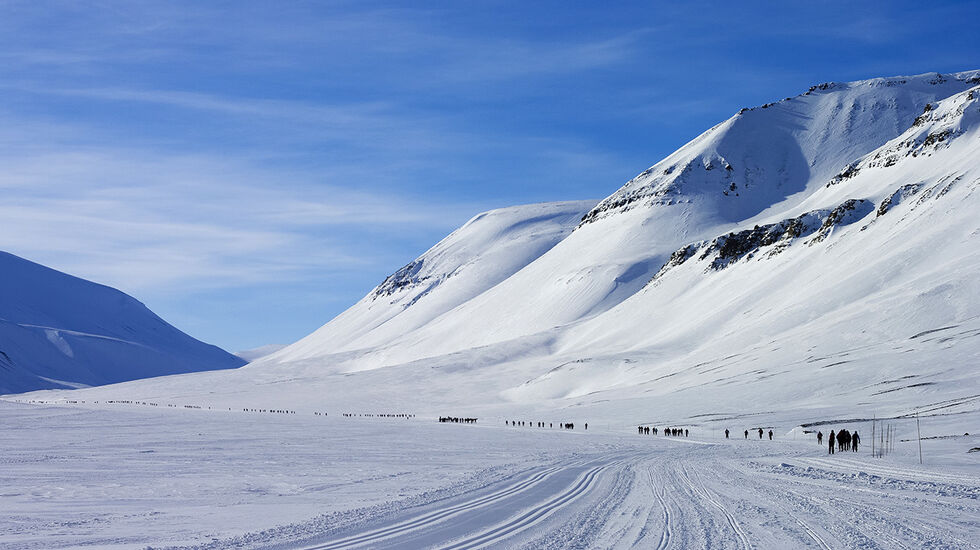 Storslagen natur venter deltakerne i Svalbard Skimaraton. (Foto: David Wrangborg)