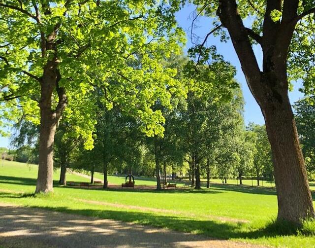 Arrangørfoto fra Frognerparken