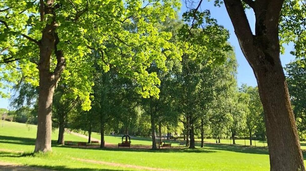 Arrangørfoto fra Frognerparken