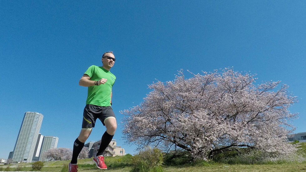 Artikkelforfatteren på løpetur i en av Tokyos mange parker mens kirsebærtrærne blomster. (Alle foto: Bjørn Johannessen)