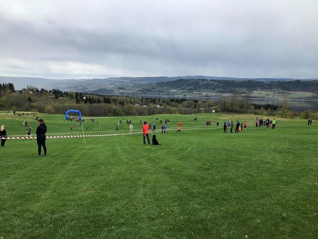 Mjøsen Golfklubb hvor Innlandet Friidrettskrets beste terrengløpere skal kåres også i år på 1. mai. (Foto: Morten Stensberg)
