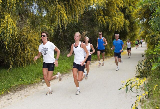 For å få best mulig utbytte av treningen, gjelder det å finne den rette miksen av rolig og hard trening. (Foto: Marianne Røhme)