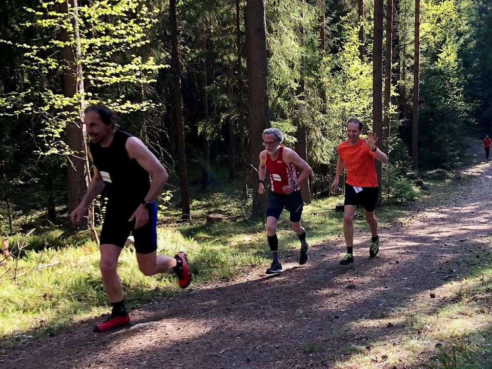 Finn Ansgar Haneberg (til h.) i Gå-joggen på Ilseng i fjor bak Jan Erik Mathiassen og Øystein Syversen. (Foto: Marit Aamdal)