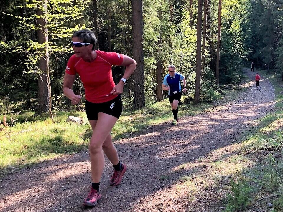 Gaa-joggen_Ilseng (1)