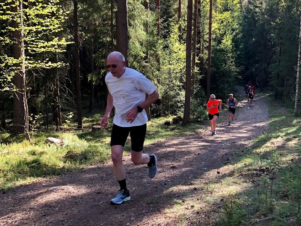 Gaa-joggen_Ilseng (4)