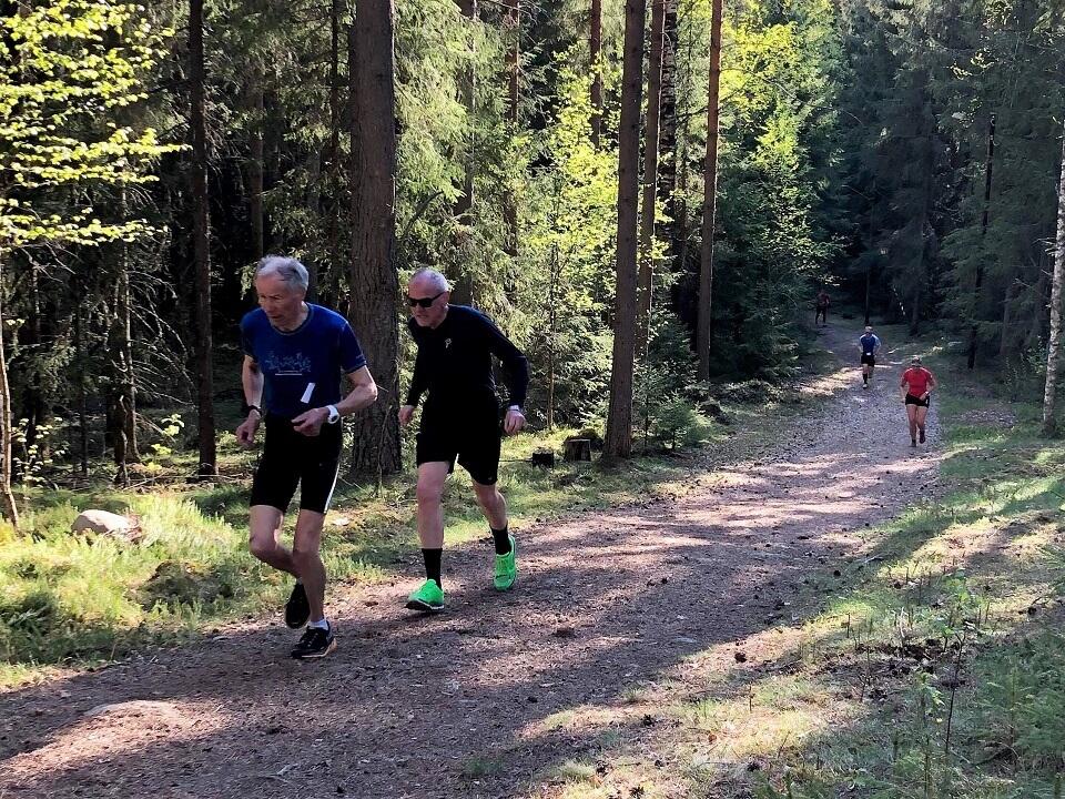 Gaa-joggen_Ilseng (9)