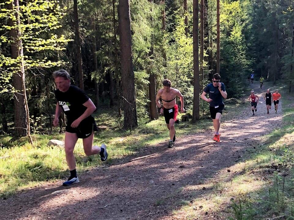 Gaa-joggen_Ilseng (11)