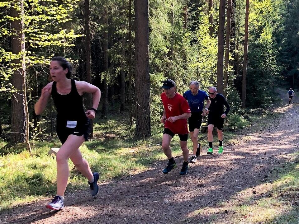 Gaa-joggen_Ilseng (12)