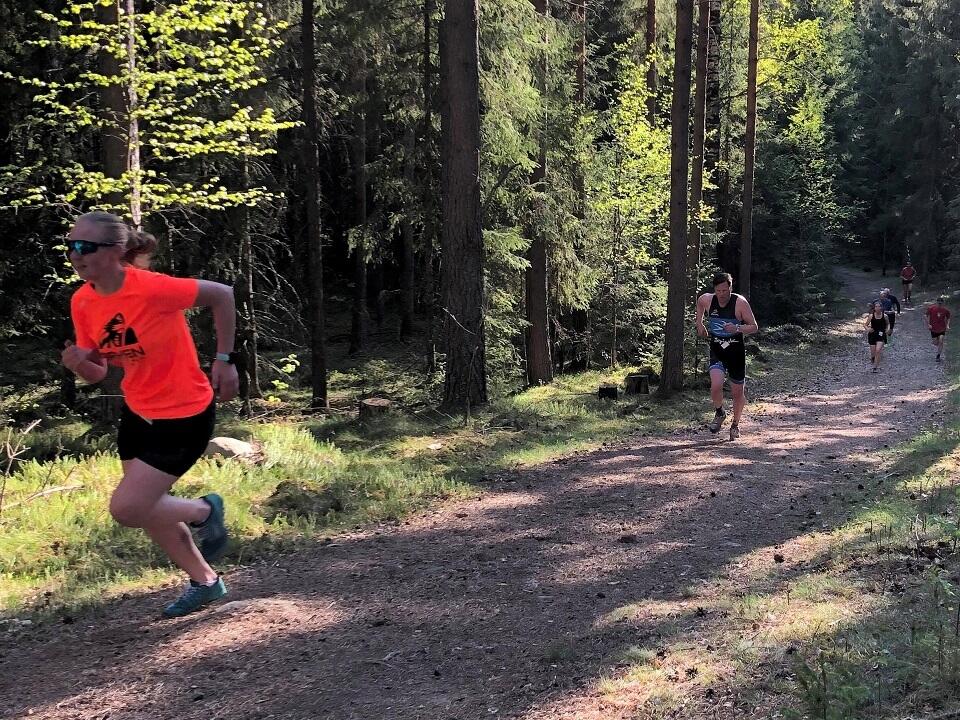 Gaa-joggen_Ilseng (13)