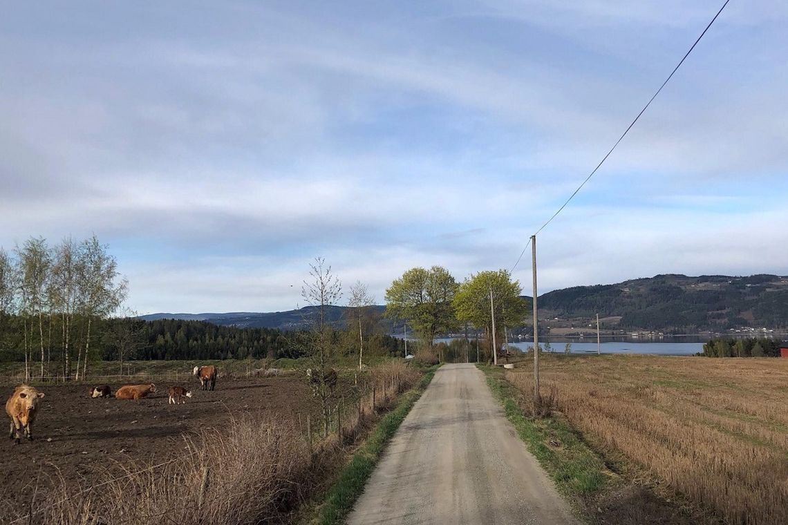 Fra løypa til Reidar Berges æresløp med utsikt over Mjøsa. (Foto fra løpets facebookside)