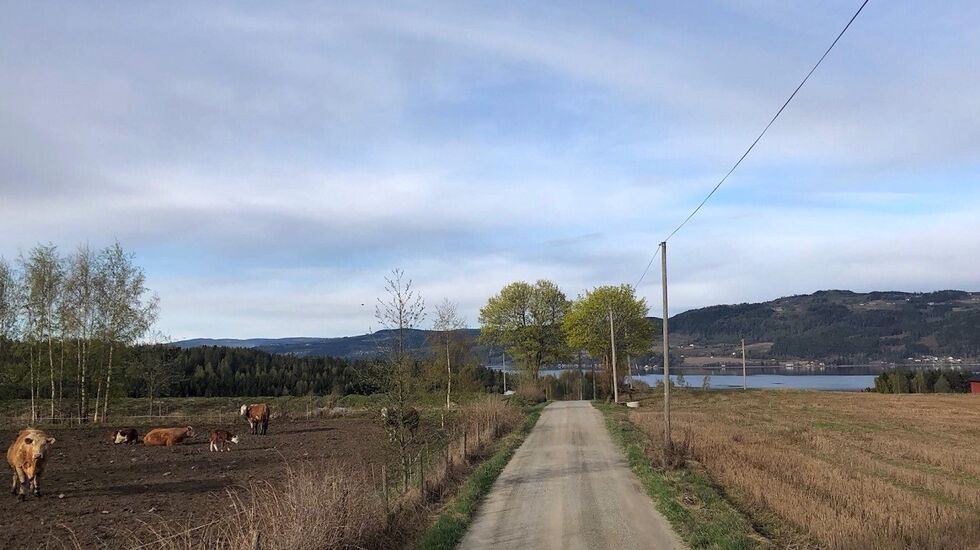 Fra løypa til Reidar Berges æresløp med utsikt over Mjøsa. (Foto fra løpets facebookside)