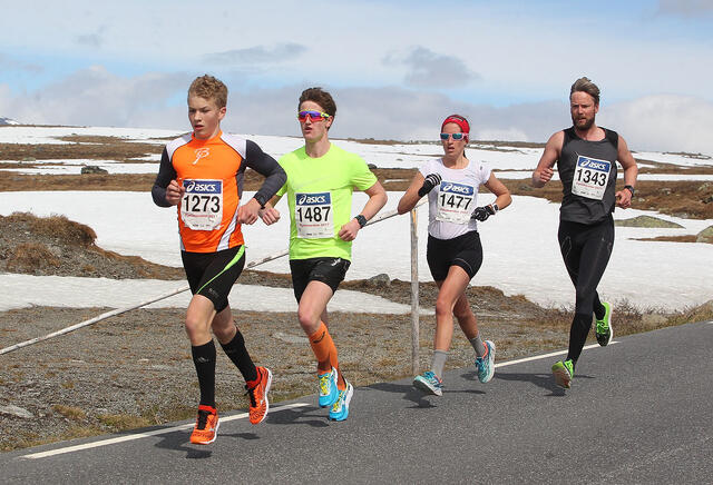 Halvmaratonløpere på Valdresflya 2017. (Foto: Kjell Vigestad)