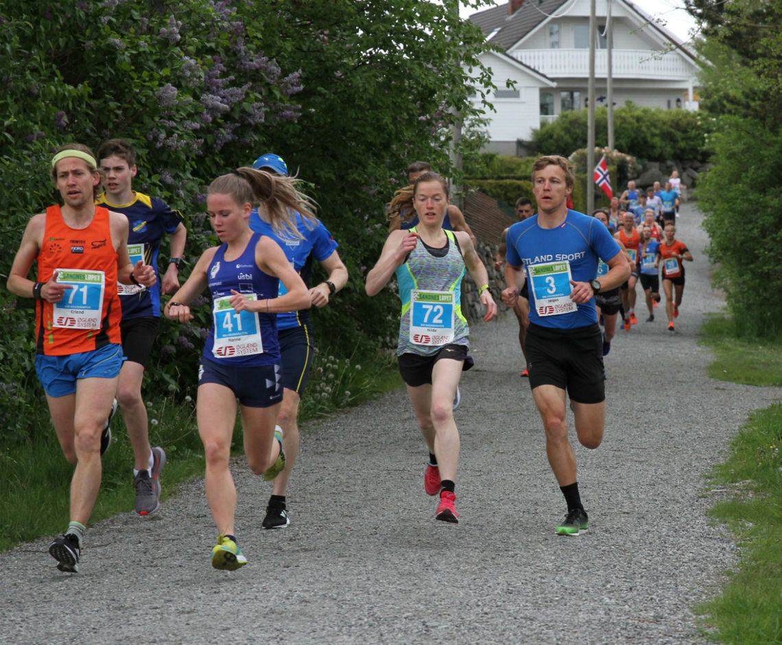 Tetfeltet for damer på NM halvmaraton etter ca. 1 km løping. Hilde Aders(72) som vant løpet har følge med Hanne Mjøen Maridal(41) som til slutt ble nummer to. Erland Aano(71) og Jørgen Grønsund(3) er også med og holder farten oppe.