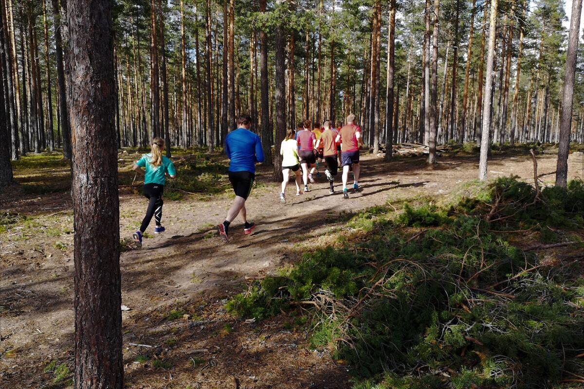 Gaa-joggen_Stavaasen (2)