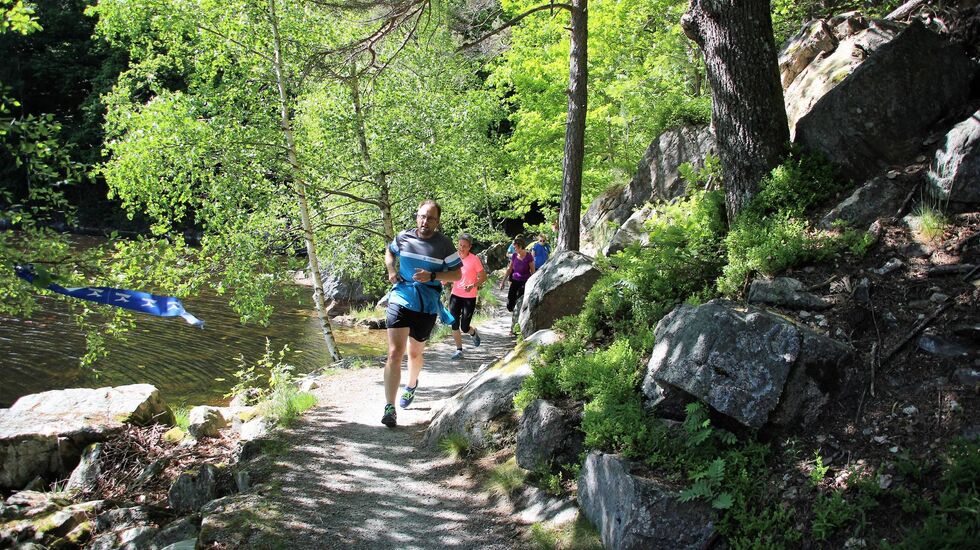Arkivfoto fra Arilds løype 2017. (Foto. Guri Sæterlid)