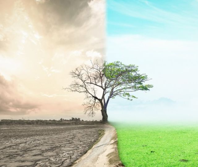 Slik kan din bedrift bli grønnere