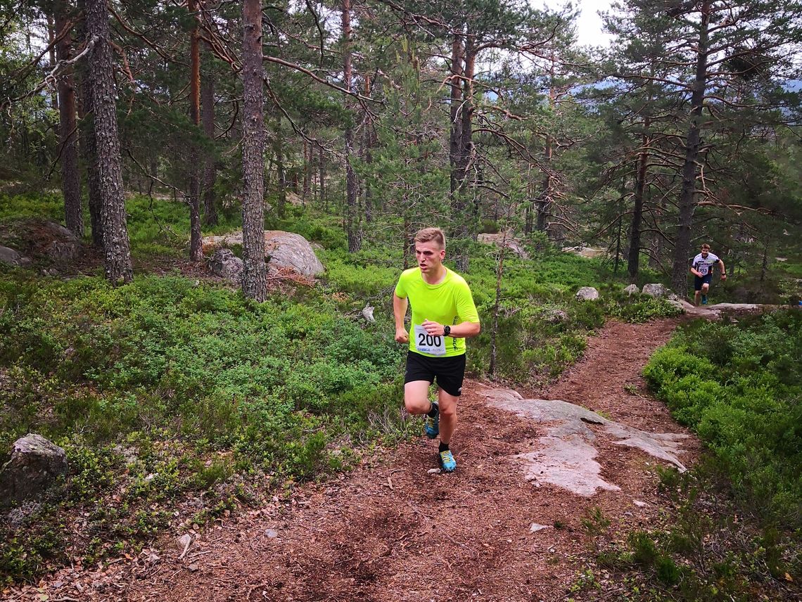 Det var tørket opp og fine løper i motbakkeløpet til Høyslass. Her er det Bård Sundsli fra Treungen IL som forserer bakken. (Arrangørfoto)