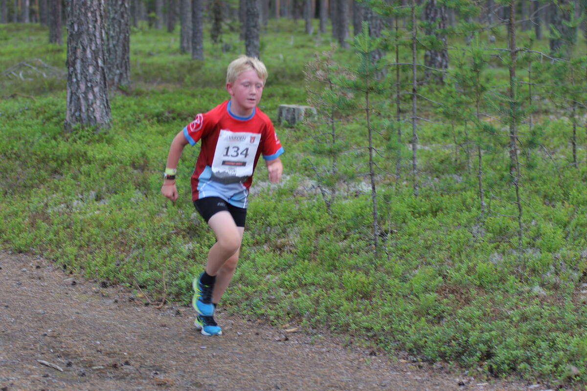 Risberget_Rundt (10)
