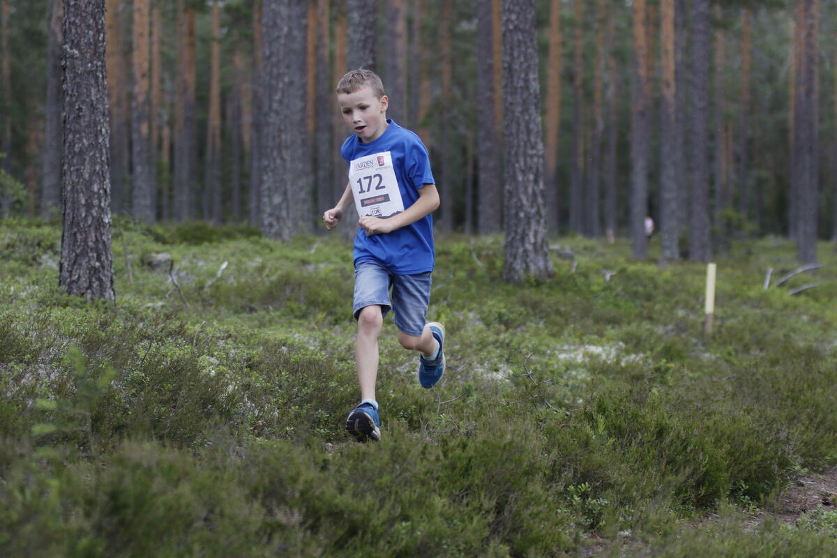 Risberget_Rundt (31)