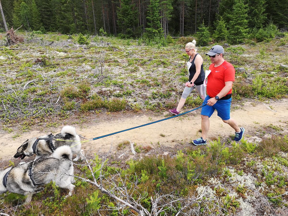 Risberget_Rundt (74)