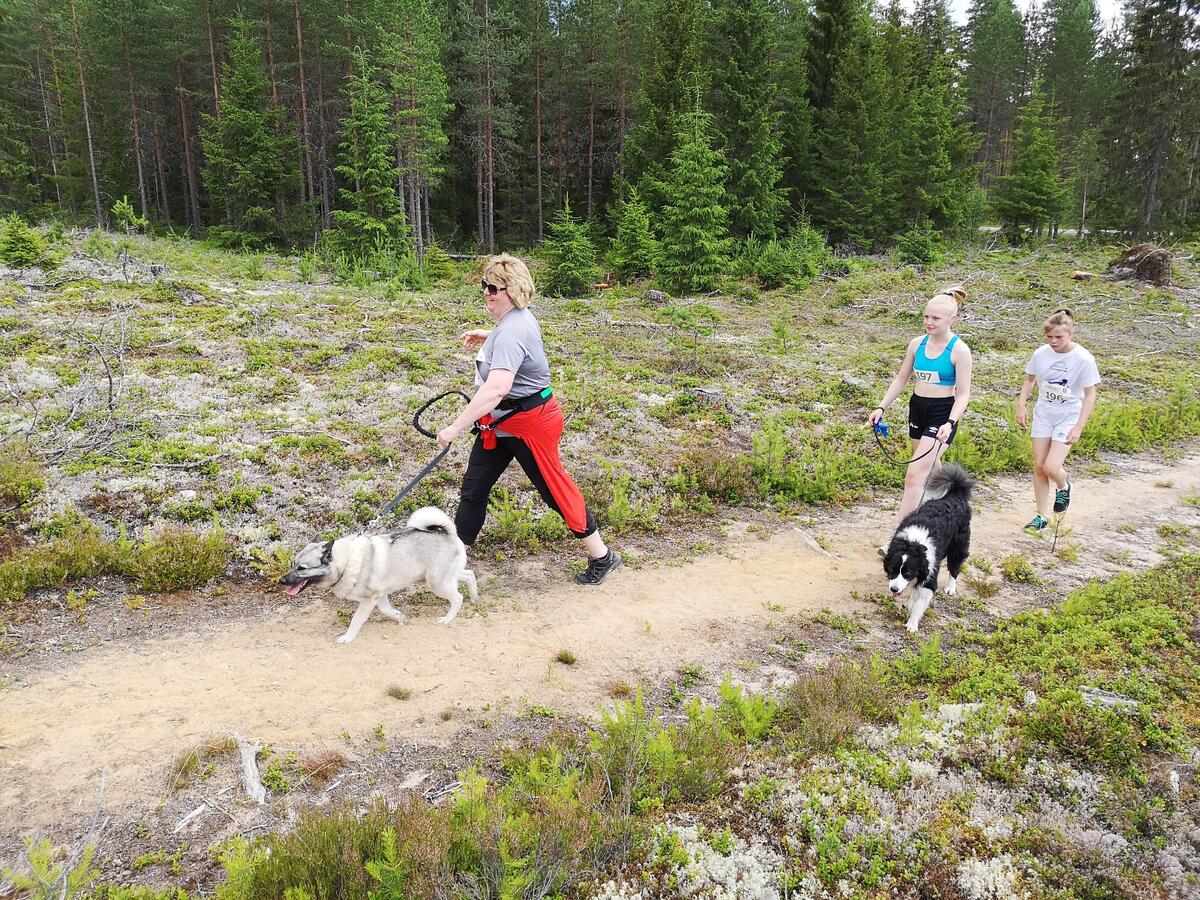 Risberget_Rundt (75)