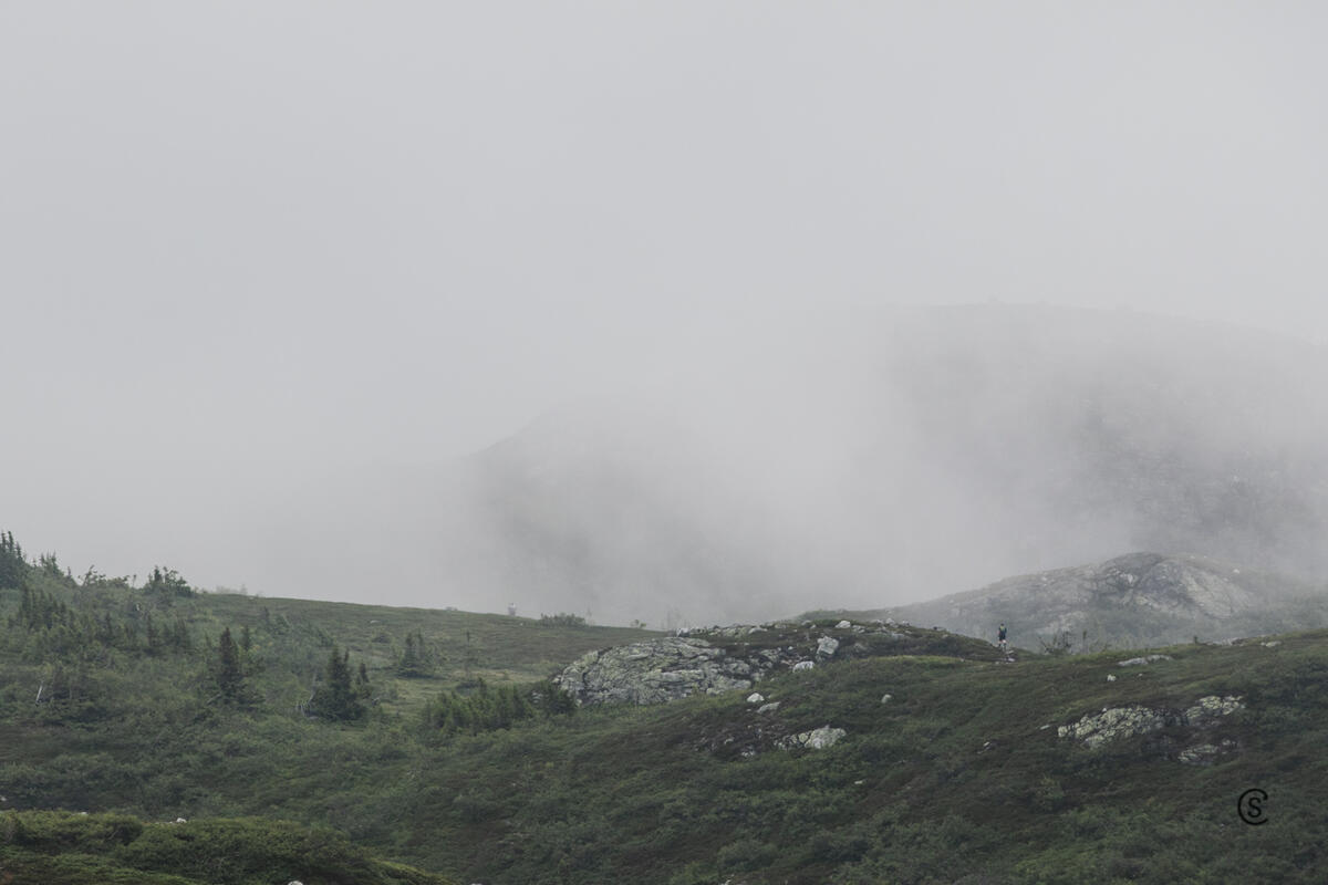 S7D_2645