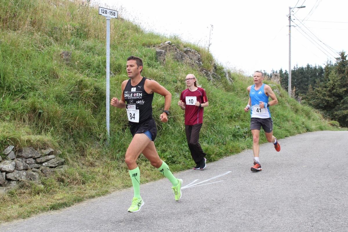 IMG_0420_Hisdal_i_tet_1km (1280x853)