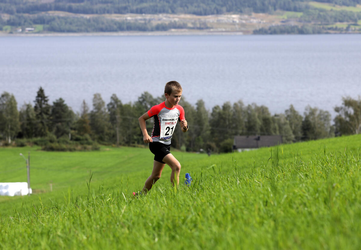 Henrik Aasvoll-Rognlien