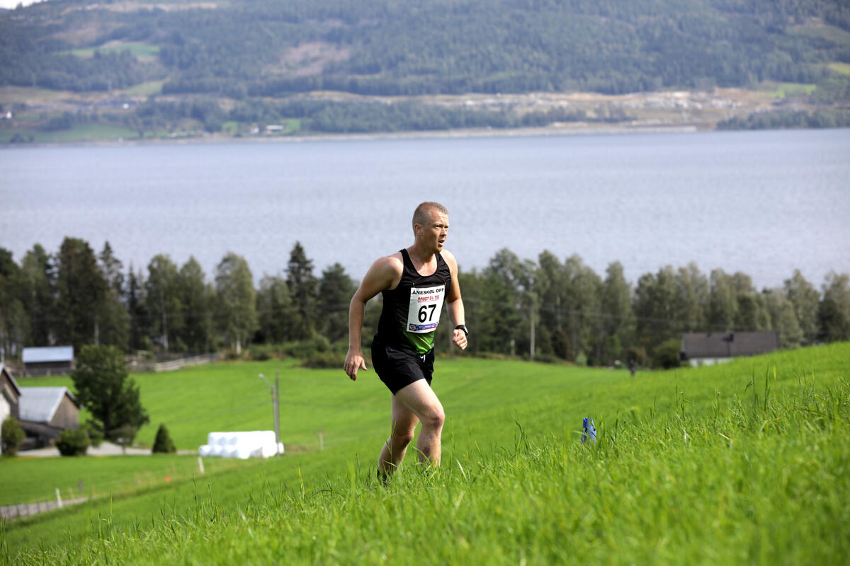 Ola Halse Kneppe