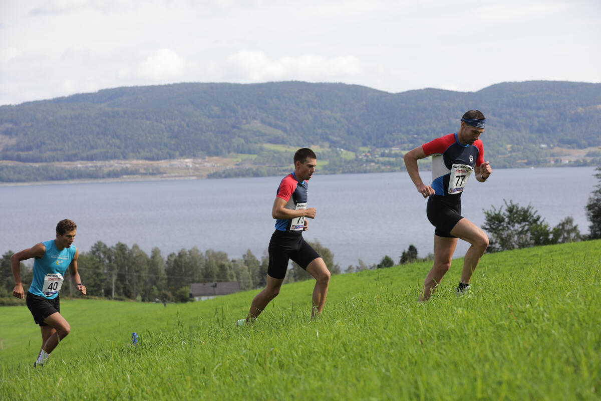 Per-Christian Lysaker Torgersrud - Geir Steig og Even Seeberg